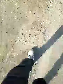 murokkk31 online show from December 2024 11:20:02 AM