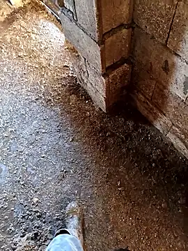 murokkk31 online show from January 2026 07:14:01 AM