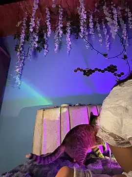 Lily candy X online show from March 2026 05:24:02 AM