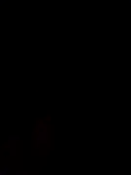 Alanagracia online show from February 2025 11:31:02 AM