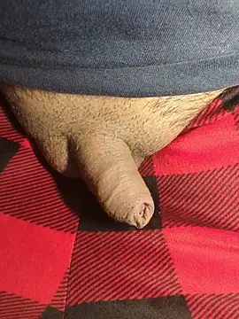 publicsir online show from April 2026 04:33:02 PM