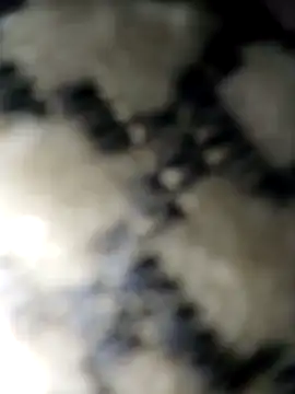 BBbentCock online show from June 2026 04:54:02 AM
