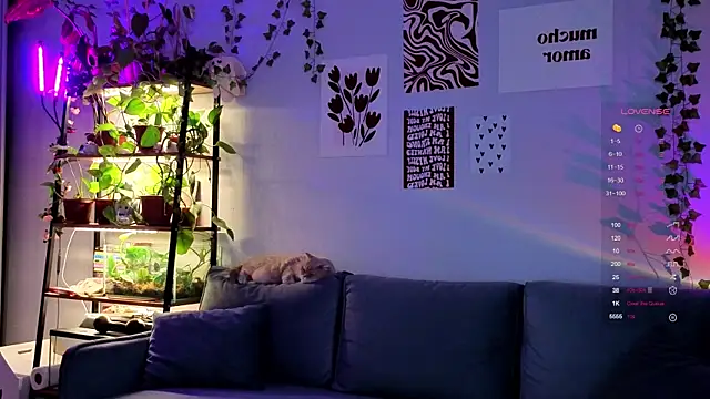 Your Corvus online show from December 2025 09:51:02 AM