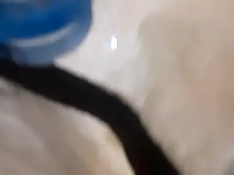 Snapshot of pedrodavid_ chatting on March 2025 12:10:01 AM pedrodavid  online show from March 2025 12:10:01 AM