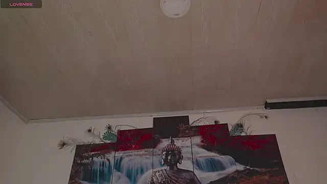 ariana-white- online show from February 2026 01:48:01 AM