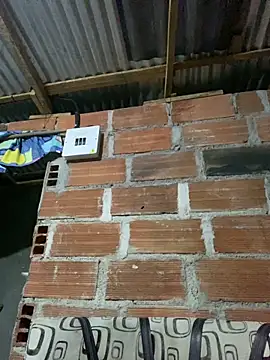 AlexaWarner online show from March 2026 11:41:02 PM