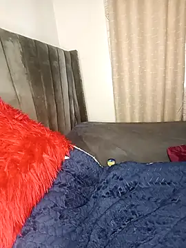 Golden diver online show from November 2025 08:14:01 AM