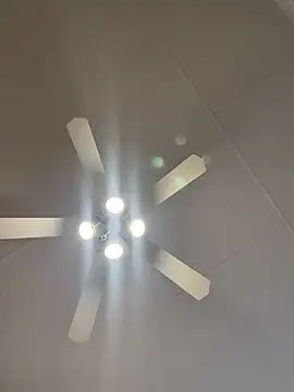 Snapshot of Dicktator16 chatting on February 2026 03:31:01 PM Dicktator16 online show from February 2026 03:31:01 PM