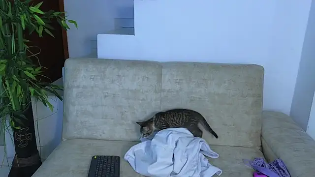 Lorenne Miller online show from October 2025 05:08:02 AM