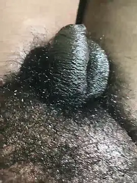 rajrahulovi online show from February 2026 04:49:02 PM