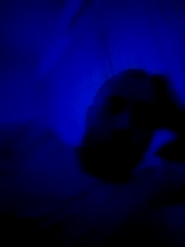 Snapshot of HELL_FIRE chatting on September 2025 05:23:02 AM HELL FIRE online show from September 2025 05:23:02 AM