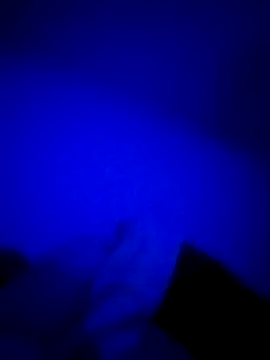 Snapshot of HELL_FIRE chatting on October 2025 06:10:01 AM HELL FIRE online show from October 2025 06:10:01 AM