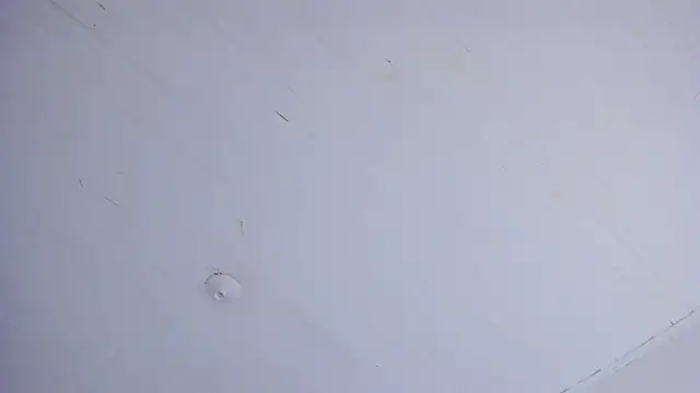 TiffanyWright online show from April 2026 01:17:02 PM