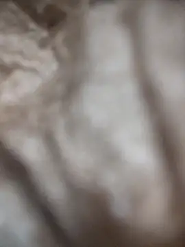 VL25DN26 online show from March 2026 01:59:02 PM