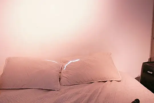 Nicky and Blake online show from February 2025 07:57:02 PM