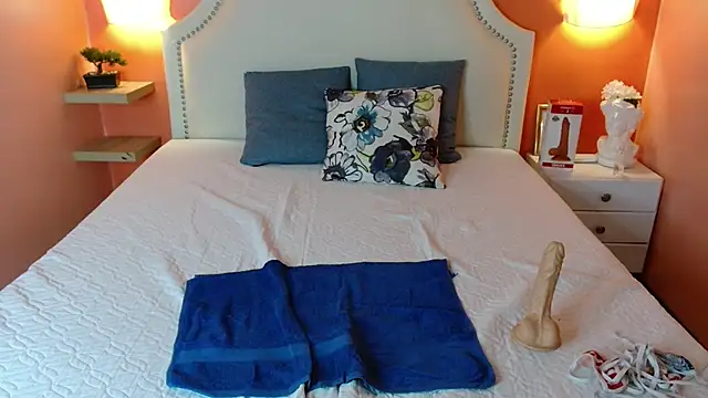 Snapshot of north_sweet_ chatting on February 2025 06:45:01 PM north sweet  online show from February 2025 06:45:01 PM