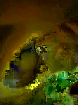 Rasdick online show from March 2026 02:17:02 AM