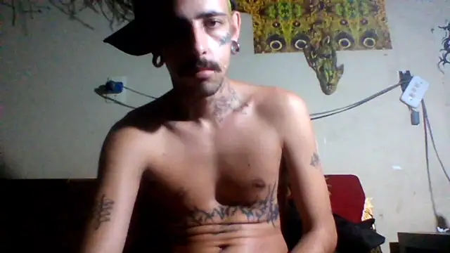 sellvageria online show from February 2026 03:40:01 AM