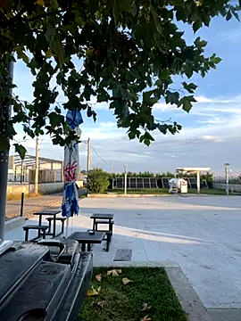 baramadalin online show from October 2025 05:24:01 AM