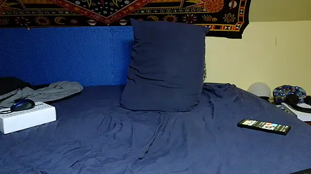 Spacecase2021 online show from January 2025 11:58:02 AM