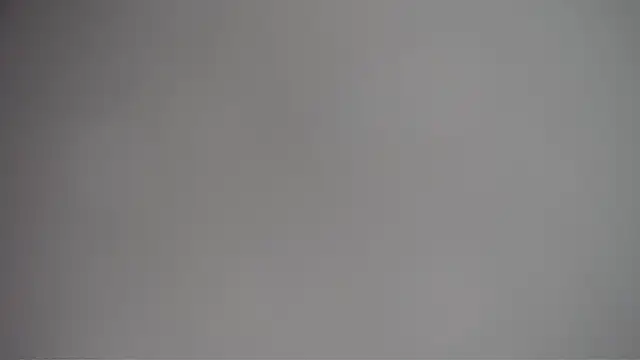 Marvelo81 online show from April 2026 12:09:02 PM