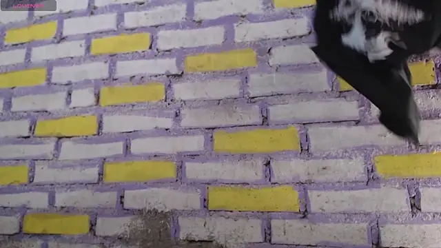 Lukas strong online show from November 2025 02:06:02 PM