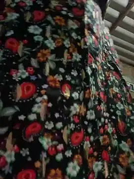 Emiily lee online show from February 2025 12:52:02 PM