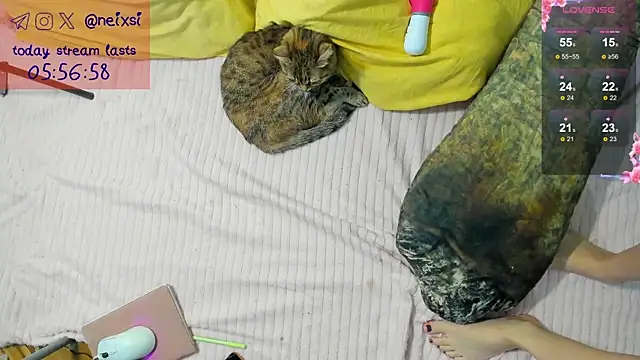 ixsi online show from October 2025 07:40:01 AM