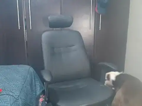 Snapshot of blzed420 chatting on February 2025 11:14:02 PM blzed420 online show from February 2025 11:14:02 PM