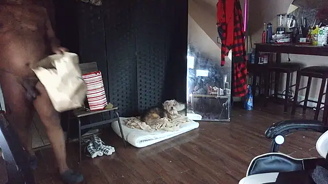 bigshh8 online show from January 2026 12:04:02 AM