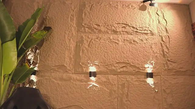 Logan Varela online show from March 2025 03:37:01 AM