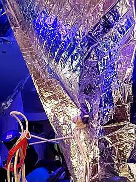 Snapshot of gurlnips chatting on March 2025 11:33:02 AM gurlnips online show from March 2025 11:33:02 AM