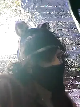 Snapshot of gurlnips chatting on March 2025 06:54:01 AM gurlnips online show from March 2025 06:54:01 AM