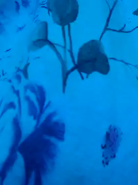 Snapshot of gurlnips chatting on September 2025 06:37:01 AM gurlnips online show from September 2025 06:37:01 AM