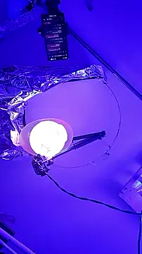 Snapshot of gurlnips chatting on September 2025 09:57:02 AM gurlnips online show from September 2025 09:57:02 AM