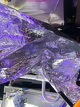 Snapshot of gurlnips chatting on October 2025 06:05:01 PM gurlnips online show from October 2025 06:05:01 PM