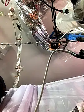 Snapshot of gurlnips chatting on November 2025 06:25:02 AM gurlnips online show from November 2025 06:25:02 AM