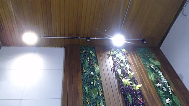 DrakeNeumann online show from February 2025 11:06:02 PM