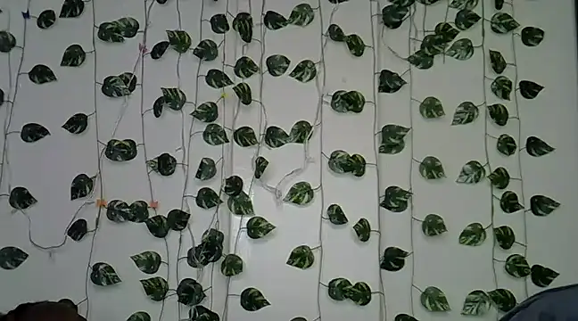 sexybree  online show from January 2025 05:10:01 PM