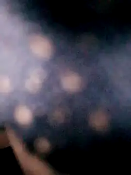 Hotpussy3ox online show from September 2025 08:05:01 AM