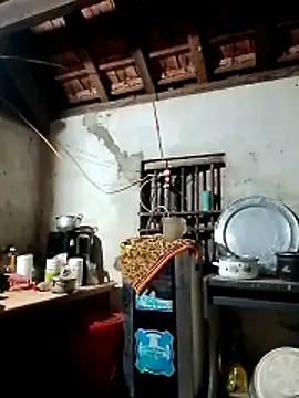 Hotpussy3ox online show from March 2026 10:16:02 PM