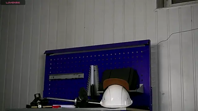 dustyn fox online show from December 2025 04:57:01 PM