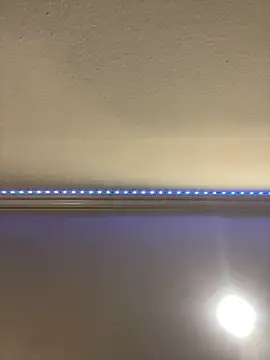 ThicBunz online show from March 2025 09:58:01 PM