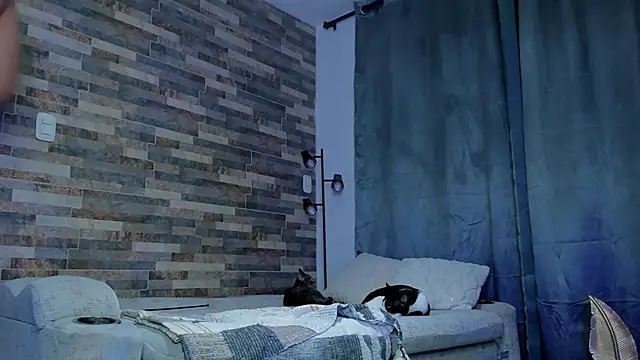 zaiin diesel online show from January 2025 12:47:01 AM