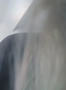 Linda 999 online show from September 2025 09:54:02 AM