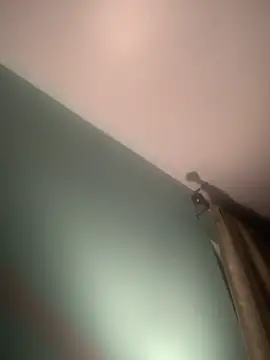 longhairjim online show from February 2025 07:49:02 AM