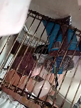 LunaDrago online show from February 2025 12:51:02 AM