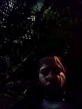 mis312 online show from April 2026 04:12:01 AM