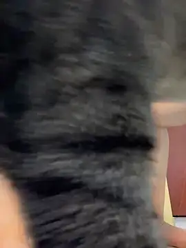 Barbielatinas online show from February 2026 04:31:01 AM