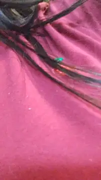 Snapshot of ailyn_miranda chatting on November 2025 07:50:02 PM ailyn miranda online show from November 2025 07:50:02 PM